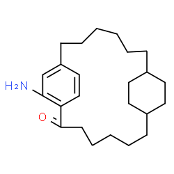 ChemSpider 2D Image | 20-Aminotricyclo[16.2.2.2~8,11~]tetracosa-1(20),18,21-trien-2-one | C24H37NO