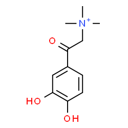 ChemSpider 2D Image | 2-(3,4-Dihydroxyphenyl)-N,N,N-trimethyl-2-oxoethanaminium | C11H16NO3