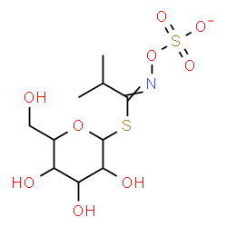 ChemSpider 2D Image | 1-S-[2-Methyl-N-(sulfonatooxy)propanimidoyl]-1-thiohexopyranose | C10H18NO9S2