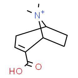 ChemSpider 2D Image | 2-Carboxy-8,8-dimethyl-8-azoniabicyclo[3.2.1]oct-2-ene | C10H16NO2