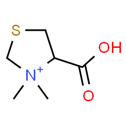 ChemSpider 2D Image | 4-Carboxy-3,3-dimethyl-1,3-thiazolidin-3-ium | C6H12NO2S