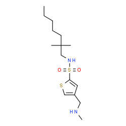 ChemSpider 2D Image | N-(2,2-Dimethylheptyl)-4-[(methylamino)methyl]-2-thiophenesulfonamide | C15H28N2O2S2