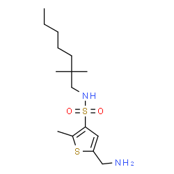 ChemSpider 2D Image | 5-(Aminomethyl)-N-(2,2-dimethylheptyl)-2-methyl-3-thiophenesulfonamide | C15H28N2O2S2