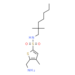 ChemSpider 2D Image | 5-(Aminomethyl)-N-(2,2-dimethylheptyl)-4-methyl-2-thiophenesulfonamide | C15H28N2O2S2