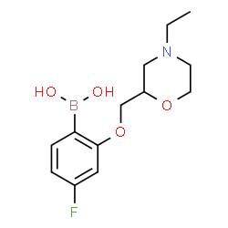 ChemSpider 2D Image | {2-[(4-Ethyl-2-morpholinyl)methoxy]-4-fluorophenyl}boronic acid | C13H19BFNO4