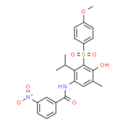 ChemSpider 2D Image | N-{4-Hydroxy-2-isopropyl-3-[(4-methoxyphenyl)sulfonyl]-5-methylphenyl}-3-nitrobenzamide | C24H24N2O7S