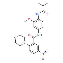 ChemSpider 2D Image | N-[4-(Isobutyrylamino)-3-methoxyphenyl]-2-(4-morpholinyl)-5-nitrobenzamide | C22H26N4O6