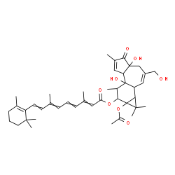 ChemSpider 2D Image | O~15~-[9a-Acetoxy-4a,7b-dihydroxy-3-(hydroxymethyl)-1,1,6,8-tetramethyl-5-oxo-1a,1b,4,4a,5,7a,7b,8,9,9a-decahydro-1H-cyclopropa[3,4]benzo[1,2-e]azulen-9-yl]retinoic acid | C42H56O8
