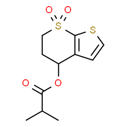 ChemSpider 2D Image | 7,7-Dioxido-5,6-dihydro-4H-thieno[2,3-b]thiopyran-4-yl 2-methylpropanoate | C11H14O4S2