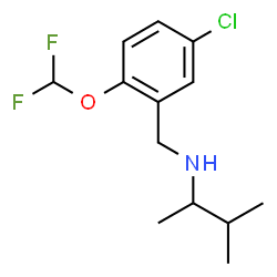 ChemSpider 2D Image | N-[5-Chloro-2-(difluoromethoxy)benzyl]-3-methyl-2-butanamine | C13H18ClF2NO