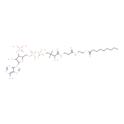 ChemSpider 2D Image | S-{1-[5-(6-Amino-9H-purin-9-yl)-4-hydroxy-3-(phosphonooxy)tetrahydro-2-furanyl]-3,5,9-trihydroxy-8,8-dimethyl-3,5-dioxido-10,14-dioxo-2,4,6-trioxa-11,15-diaza-3lambda~5~,5lambda~5~-diphosphaheptadecan
-17-yl} nonanethioate | C30H52N7O17P3S