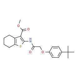 ChemSpider 2D Image | methyl 2-[2-(4-tert-butylphenoxy)acetamido]-4,5,6,7-tetrahydro-1-benzothiophene-3-carboxylate | C22H27NO4S