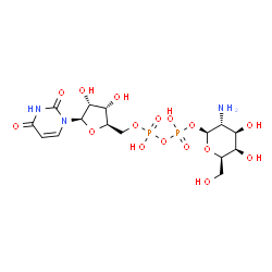 ChemSpider 2D Image | (2S,3R,4R,5R,6R)-3-Amino-4,5-dihydroxy-6-(hydroxymethyl)tetrahydro-2H-pyran-2-yl [(2R,3S,4R,5R)-5-(2,4-dioxo-3,4-dihydro-1(2H)-pyrimidinyl)-3,4-dihydroxytetrahydro-2-furanyl]methyl dihydrogen diphosph
ate | C15H25N3O16P2
