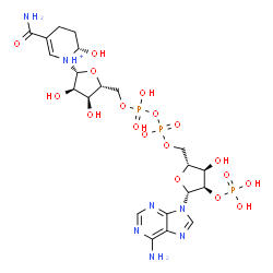 ChemSpider 2D Image | [[(2R,3R,4R,5R)-5-(6-aminopurin-9-yl)-3-hydroxy-4-phosphonooxy-tetrahydrofuran-2-yl]methoxy-hydroxy-phosphoryl] [(2R,3S,4R,5R)-5-[(2S)-5-carbamoyl-2-hydroxy-3,4-dihydro-2H-pyridin-1-ium-1-yl]-3,4-dihydroxy-tetrahydrofuran-2-yl]methyl hydrogen phosphate | C21H33N7O18P3