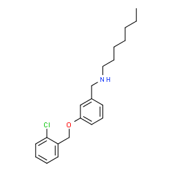 ChemSpider 2D Image | N-{3-[(2-Chlorobenzyl)oxy]benzyl}-1-heptanamine | C21H28ClNO