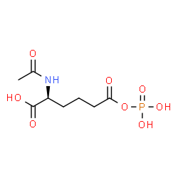 ChemSpider 2D Image | N-acetyl-L-2-aminoadipic acid 6-phosphate | C8H14NO8P