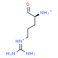 ChemSpider 2D Image | [(4S)-4-Ammonio-5-oxopentyl](diaminomethylene)ammonium | C6H16N4O