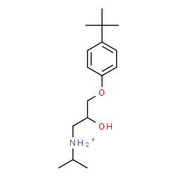 ChemSpider 2D Image | 2-Hydroxy-N-isopropyl-3-[4-(2-methyl-2-propanyl)phenoxy]-1-propanaminium | C16H28NO2