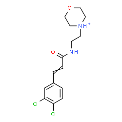 ChemSpider 2D Image | 4-(2-{[3-(3,4-Dichlorophenyl)acryloyl]amino}ethyl)morpholin-4-ium | C15H19Cl2N2O2