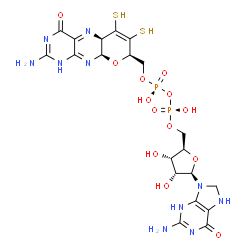 ChemSpider 2D Image | 5'-O-[(R)-{[(R)-{[(5aR,8R,9aR)-2-Amino-4-oxo-6,7-disulfanyl-1,5a,8,9a-tetrahydro-4H-pyrano[3,2-g]pteridin-8-yl]methoxy}(hydroxy)phosphoryl]oxy}(hydroxy)phosphoryl]-7,8-dihydroguanosine | C20H26N10O13P2S2