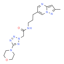 ChemSpider 2D Image | N-[3-(2-Methylpyrazolo[1,5-a]pyrimidin-6-yl)propyl]-2-[5-(4-morpholinyl)-2H-tetrazol-2-yl]acetamide | C17H23N9O2