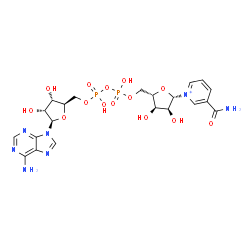 ChemSpider 2D Image | [(2R,3S,4R,5R)-5-(6-aminopurin-9-yl)-3,4-dihydroxy-tetrahydrofuran-2-yl]methyl [[(2S,3R,4S,5S)-5-(3-carbamoylpyridin-1-ium-1-yl)-3,4-dihydroxy-tetrahydrofuran-2-yl]methoxy-hydroxy-phosphoryl] hydrogen phosphate | C21H28N7O14P2