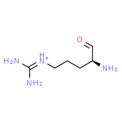 ChemSpider 2D Image | Diamino-N-[(4S)-4-amino-5-oxopentyl]methaniminium | C6H15N4O