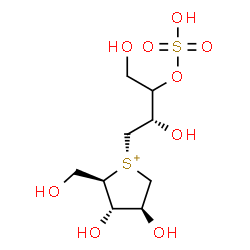 ChemSpider 2D Image | (2R,3S,4S)-1-[(2S)-2,4-Dihydroxy-3-(sulfooxy)butyl]-3,4-dihydroxy-2-(hydroxymethyl)tetrahydrothiophenium | C9H19O9S2