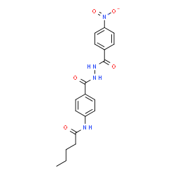 ChemSpider 2D Image | N-(4-{[2-(4-Nitrobenzoyl)hydrazino]carbonyl}phenyl)pentanamide | C19H20N4O5