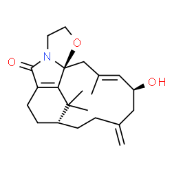 ChemSpider 2D Image | (1S,10R,15S,16E)-15-Hydroxy-17,20,20-trimethyl-13-methylene-2-oxa-5-azatetracyclo[8.8.2.0~1,5~.0~7,19~]icosa-7(19),16-dien-6-one | C22H31NO3