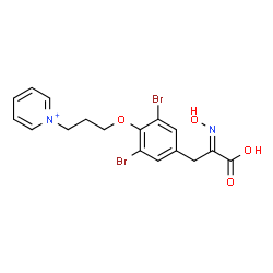 ChemSpider 2D Image | 1-(3-{2,6-Dibromo-4-[(2E)-2-carboxy-2-(hydroxyimino)ethyl]phenoxy}propyl)pyridinium | C17H17Br2N2O4