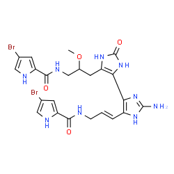 ChemSpider 2D Image | N-{(2E)-3-[2-Amino-5'-(3-{[(4-bromo-1H-pyrrol-2-yl)carbonyl]amino}-2-methoxypropyl)-2'-oxo-2',3'-dihydro-1H,1'H-4,4'-biimidazol-5-yl]-2-propen-1-yl}-4-bromo-1H-pyrrole-2-carboxamide | C23H25Br2N9O4