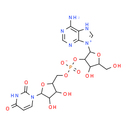 ChemSpider 2D Image | [2-(6-amino-7H-purin-9-ium-9-yl)-4-hydroxy-5-(hydroxymethyl)tetrahydrofuran-3-yl] [5-(2,4-dioxopyrimidin-1-yl)-3,4-dihydroxy-tetrahydrofuran-2-yl]methyl phosphate | C19H24N7O12P