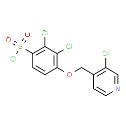 ChemSpider 2D Image | 2,3-Dichloro-4-[(3-chloro-4-pyridinyl)methoxy]benzenesulfonyl chloride | C12H7Cl4NO3S