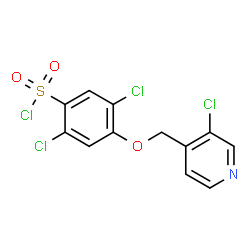 ChemSpider 2D Image | 2,5-Dichloro-4-[(3-chloro-4-pyridinyl)methoxy]benzenesulfonyl chloride | C12H7Cl4NO3S