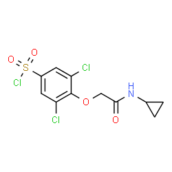 ChemSpider 2D Image | 3,5-Dichloro-4-[2-(cyclopropylamino)-2-oxoethoxy]benzenesulfonyl chloride | C11H10Cl3NO4S