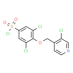 ChemSpider 2D Image | 3,5-Dichloro-4-[(3-chloro-4-pyridinyl)methoxy]benzenesulfonyl chloride | C12H7Cl4NO3S