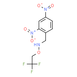 ChemSpider 2D Image | 1-(2,4-Dinitrophenyl)-N-(2,2,2-trifluoroethoxy)methanamine | C9H8F3N3O5