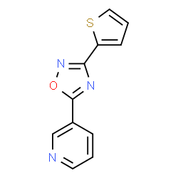 ChemSpider 2D Image | 3-[3-(2-Thienyl)-1,2,4-oxadiazol-5-yl]pyridine | C11H7N3OS