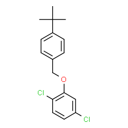 ChemSpider 2D Image | 1,4-Dichloro-2-{[4-(2-methyl-2-propanyl)benzyl]oxy}benzene | C17H18Cl2O