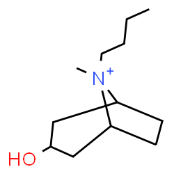 ChemSpider 2D Image | 8-Butyl-3-hydroxy-8-methyl-8-azoniabicyclo[3.2.1]octane | C12H24NO