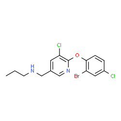 ChemSpider 2D Image | N-{[6-(2-Bromo-4-chlorophenoxy)-5-chloro-3-pyridinyl]methyl}-1-propanamine | C15H15BrCl2N2O