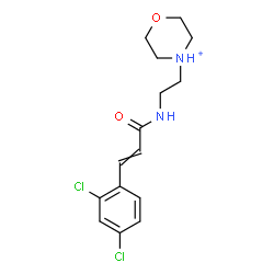 ChemSpider 2D Image | 4-(2-{[3-(2,4-Dichlorophenyl)acryloyl]amino}ethyl)morpholin-4-ium | C15H19Cl2N2O2