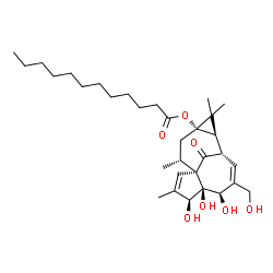 ChemSpider 2D Image | (1S,4S,5R,6R,9S,10R,12S,14R)-4,5,6-Trihydroxy-7-(hydroxymethyl)-3,11,11,14-tetramethyl-15-oxotetracyclo[7.5.1.0~1,5~.0~10,12~]pentadeca-2,7-dien-12-yl laurate | C32H50O7