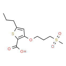 ChemSpider 2D Image | 3-[3-(Methylsulfonyl)propoxy]-5-propyl-2-thiophenecarboxylic acid | C12H18O5S2