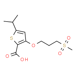 ChemSpider 2D Image | 5-Isopropyl-3-[3-(methylsulfonyl)propoxy]-2-thiophenecarboxylic acid | C12H18O5S2