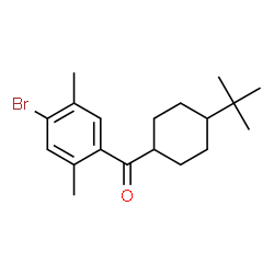 ChemSpider 2D Image | (4-Bromo-2,5-dimethylphenyl)[4-(2-methyl-2-propanyl)cyclohexyl]methanone | C19H27BrO