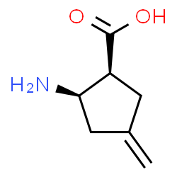 ChemSpider 2D Image | (1S,2R)-2-Amino-4-methylenecyclopentanecarboxylic acid | C7H11NO2