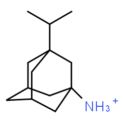 ChemSpider 2D Image | 3-Isopropyl-1-adamantanaminium | C13H24N