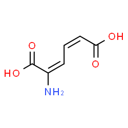 ChemSpider 2D Image | (2E,4Z)-2-Amino-2,4-hexadienedioic acid | C6H7NO4